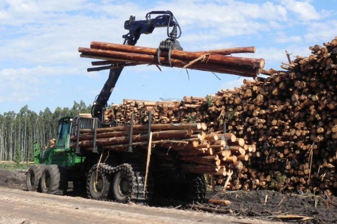 Forwarder cargando trozas