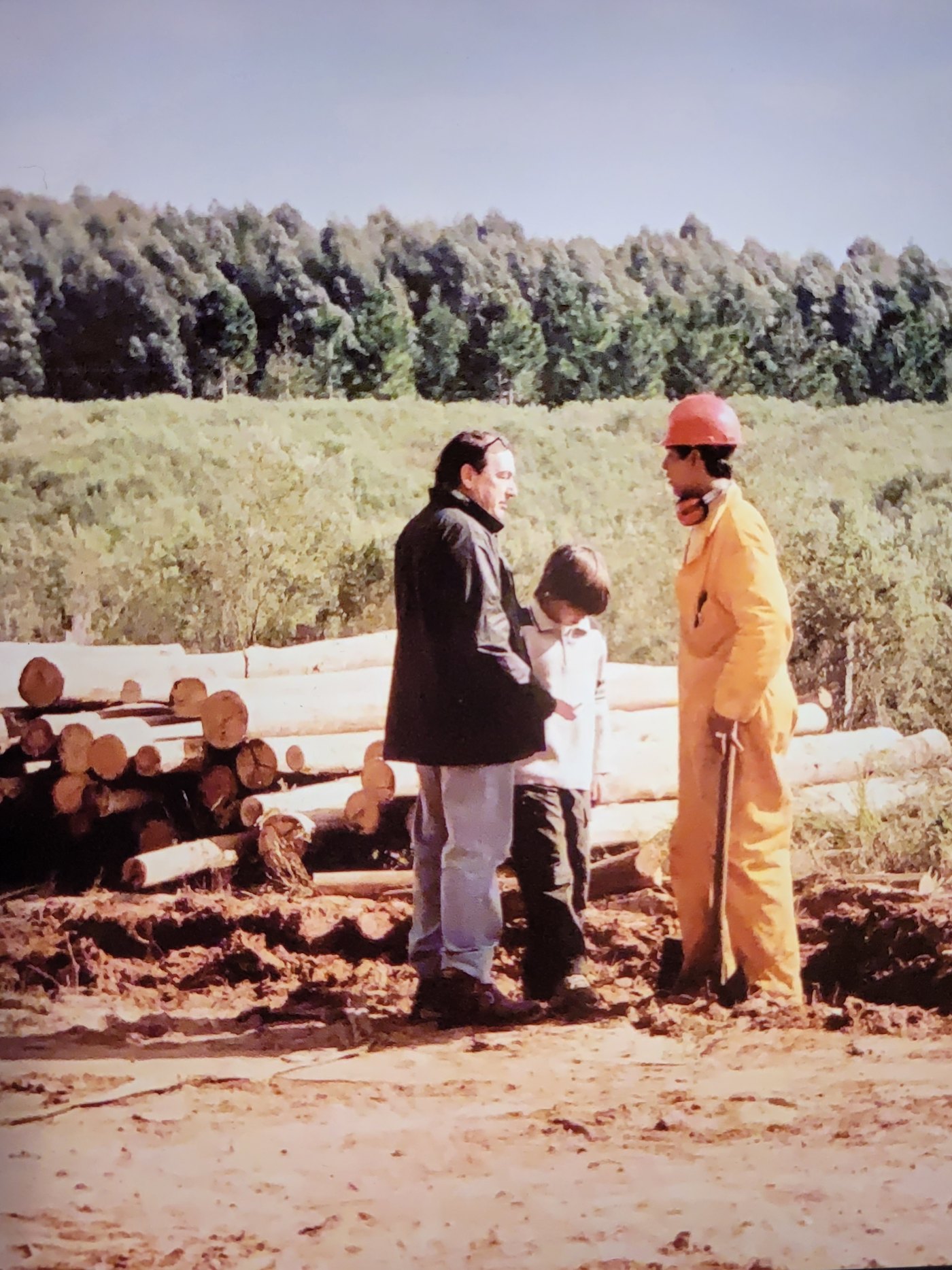 Pinalook en el monte — décadas de historia
