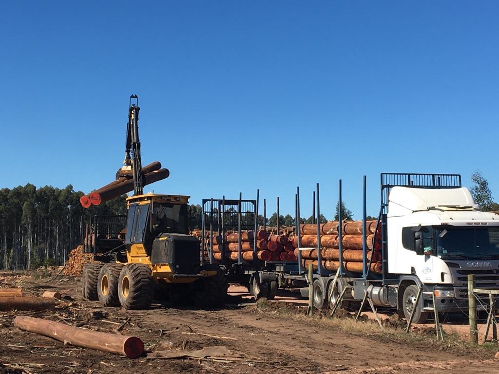 Forwarder cargando camión